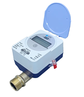 Compteur d'eau sans fil à ultrasons de haute précision LORA LoRaWAN IP68 OEM R250 pour la gestion intelligente de l'eau et le système de lecture à distance