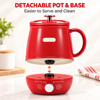 Marmite Électrique Multifonctionnelle Mini Hot Pot, Cuiseur à Soupe et à Riz, avec Cuve Intérieure Émaillée, Fonction Maintien au Chaud, Idéale pour Dortoir