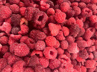 Pesticide Vrije Sinomanie Bevroren Wilde Frambozen Geheel Met Beste Smaak Hete Verkoper Goede Kwaliteit Vers Fruit