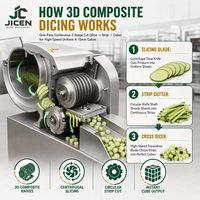 Machine à découper les patates douces et les plantains JC - 380V 1500W Capacité 5kg/h
