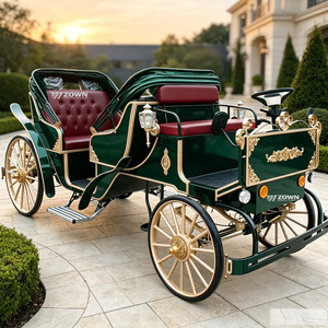 Voiture de tourisme électrique vintage de style calèche royale, couleurs personnalisées, élégante, avec auvent, à vendre - Product Image 1