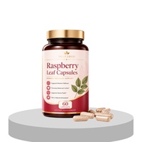 Complément Herbal Végétalien OEM à Marque Blanche : Pilules de Feuille de Framboisier Rouge Extrait 15:1 pour le Bien-être Féminin et la Santé Utérine