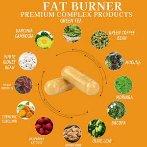 Compre cápsulas quemadoras de grasa de alta calidad a granel para mujeres Soporte de té verde Soporte inmunológico Niveles de energía Cápsulas de gestión de forma corporal - Product Image 4