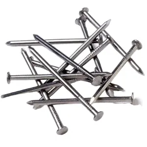 Free sample Directly manufacture bulk wire nails for Dubai South Africa