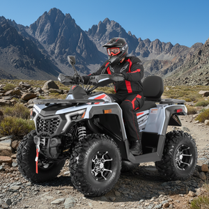 Quad ATV Tao Motor 2026, nouveau modèle homologué EEC T3B, 4x2, automatique, transmission par chaîne, adulte, 250cc, avec CE EPA - Product Image 1