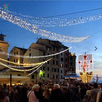 Guirlandes lumineuses décoratives d'extérieur imperméables et lumières de rideau pour les événements de mariage