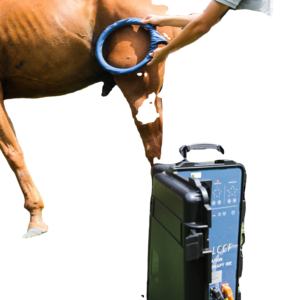 Nuevas Ideas de Negocios 2026: Manta PEMF para Caballos - Product Image 1