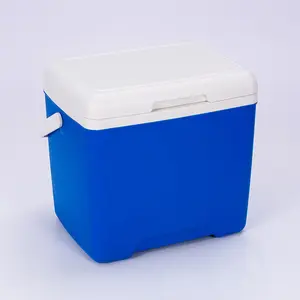 Picnic all'aperto portatile auto veicolo Premium Cooler Box viaggio Ice Box per escursioni in campeggio