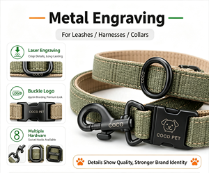 <span class=keywords><strong>Collare</strong></span> per Cani con Targhetta Incisa, Riflettente, in Nylon Imbottito in Neoprene con Fibbia, Prodotti per Animali Domestici - Product Image 6