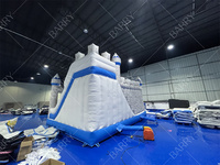 Maison de saut de maison de fête gonflable commerciale Blue Alien Kids Bounce House Bounce Combo avec toboggan gonflable Bouncer