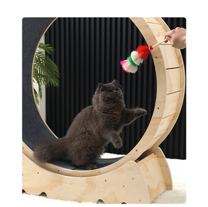 Pet <strong>Cat</strong> Running <strong>Wheel</strong> Pet Treadmill <strong>Exercise</strong> Lose Weight Walking Fitness Toy Silent Dog <strong>Cat</strong> Toys Interactive <strong>Cat</strong> Climbing Frame - Product Image 4