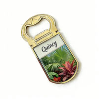 Großhandel Personalisierter Quincy USA-Touristen-Souvenir Beschichteter Metall-Kühlschrankmagnet Flaschenöffner