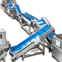 Machine à éplucher les oignons pneumatique 600 kg/h, système à chaîne pour usine de traitement de l'ail, ligne de production de transformation de l'ail et de l'oignon
