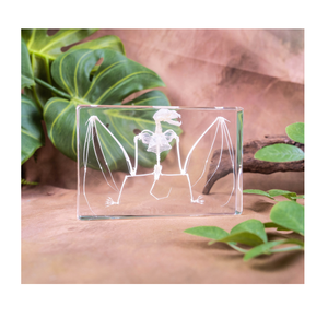 Spécimen de taxidermie résine intégrée Unique cristal clair véritable chauve-souris squelette demi presse-papier pour l'éducation scolaire - Product Image 1