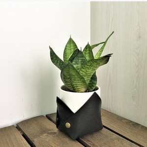 Pots à fleurs en cuir en gros, décorations de pots à fleurs de style minimaliste moderne, décorations de jardin créatives de couleur unie - Product Image 2