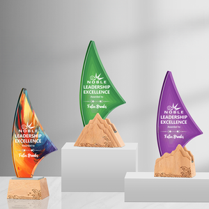 Trophée en bois de cristal d'approvisionnement <span class=keywords><strong>professionnel</strong></span> Atmosphère créative <span class=keywords><strong>Prix</strong></span> annuel en bois massif du personnel - Product Image 5