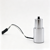 Électroaimant tubulaire personnalisé DC 6V-48V à traction et poussée, solénoïde de traction 3-1500N, certifié CE pour applications électriques domestiques