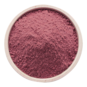 Extrait de Celastrol Premium Tripterygium Wilfordii Racine Triterpenoid Poudre Sous Forme Emballé Tambour Bouteille CAS 34157-83-0 - Product Image 3