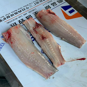 Fischverarbeitungsgeräte: Tilapia-Fischschlachtmaschine / Schlachtmaschinen für Tilapia - Product Image 5