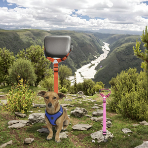 Arnés para Perro Suave y Delicado, Sin Tirones, Sin Estrangulamiento, Ajustable, Reflectante, con Cojín Sólido, Transpirable, Tipo Chaleco de Malla para Caminar - Product Image 3