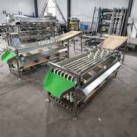 304 RVS Fruit- en Groentesorteermachine, Multifunctioneel, Grote Capaciteit, Tomaten, Aardappelen, Kersen Sorteermachine