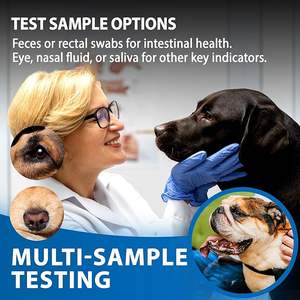 Canine/Dog HealthCheck 4-in-1 Test Kit Screening of Common Canine Illnesses Quick and Easy <strong>At</strong>-<strong>Home</strong> <strong>Testing</strong> - Product Image 5