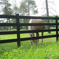 Valla Moderna de Acero Galvanizado Negro de 4 Rieles para Caballos, para Uso en Exteriores, Granjas, Jardines y Ranchos