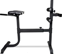Wellshow-Banc de musculation pour sport, chaise romaine à extension hyper dorsale, banc réglable, banc incliné et décliné