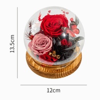 Bouquet de roses éternelles en gros sous cloche en verre avec gypsophile – Élégante composition florale romantique – Cadeau de Saint-Valentin