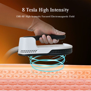 Appareil de Sculpting Corporel EMS Neo 4 Poignées RF EMS pour le Corps, le Visage et les Mains, Prise US - Product Image 5