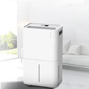 20L/Day Hot Sale Dehumidifier Efficient Small Compression Mute Dehumidifier With Air Purifier Home