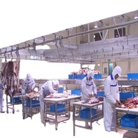 Machine d'abattoir à tailler pour bétail de bœuf, Machine de nettoyage