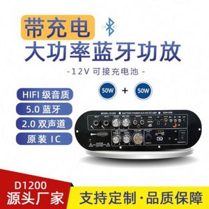 D1200 2 Channel 12V Car Amplifier Module 50W 50W Digital Amplifier Board BT Rechargeable Subwoofer for Karaoke - Product Image 5