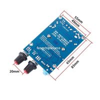 100W Subwoofer amplifikatör kurulu DC12-24V yüksek güç Mono Mono dijital güç amplifikasyon modülü