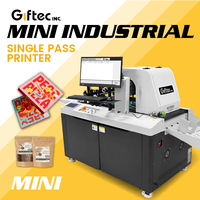 Impresora Giftec Mini One Pass con Alimentación Automática 1200*600dpi para Cajas de Cartón y Embalaje Corrugado