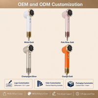Sèche-cheveux portable OEM&ODM mini avec moteur BLDC haute vitesse 110000 tr/min, ionique négatif, nouveau design pour les voyages et les hôtels