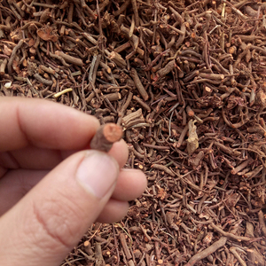 RADIX RUBIAE Seca de QIAN CAO, Raíces de <span class=keywords><strong>Rubia</strong></span> Cordifolia Secas en Venta - Product Image 3