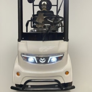 Triciclo Elettrico Yonsland a <span class=keywords><strong>4</strong></span> <span class=keywords><strong>Ruote</strong></span>: Ampio Spazio, Motore a Lunga Autonomia - Product Image 6