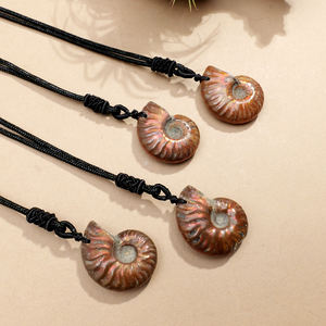 Collar de concha de espécimen Mineral de amonita de piedra cruda, colgante fósil de ammolita de Madagascar de cristal Natural al por mayor - Product Image 5