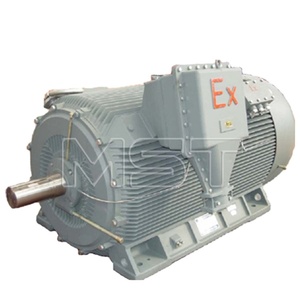 มอเตอร์ไฟฟ้าแรงสูงแบบป้องกันการระเบิด รุ่น YBX3 ซีรีส์ 11kV 315-1250kW, Ex d IIB T4, IE3, IP56 สำหรับอุตสาหกรรมน้ำมันและก๊าซ - Product Image 6