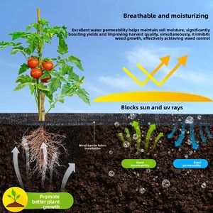 Toile de paillage <span class=keywords><strong>anti</strong></span>-<span class=keywords><strong>herbe</strong></span> pour vergers, jardins de fleurs, arbres à thé et agrumes – Tissu de couverture <span class=keywords><strong>anti</strong></span>-<span class=keywords><strong>herbe</strong></span> à motif uni, longueurs 5m/10m/15m - Product Image 3