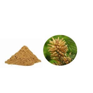 Poudre de pollen de pin sauvage à cellules brisées 20:1 de qualité alimentaire, marque Goodex, extraction liquide-solide, livraison directe – Meilleures ventes - Product Image 1
