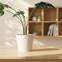 Pot de fleurs en PP léger pour plantes d'intérieur, pots écologiques avec trou de drainage, jardinière ronde en plastique