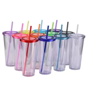 Cốc Nhựa Acrylic Hai Lớp Bán Chạy 16Oz 24Oz Cốc Nước Giải Khát Có Ống Hút Và Nắp Nhựa Vinyl