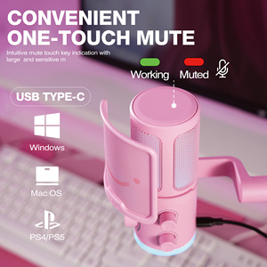 <span class=keywords><strong>Fifine</strong></span> TAM6บูมแขน <span class=keywords><strong>USB</strong></span>-<span class=keywords><strong>C</strong></span> ไมโครโฟนชุดมืออาชีพตรวจสอบลดเสียงรบกวนไมโครโฟน <span class=keywords><strong>USB</strong></span> RGB คอนเดนเซอร์ - Product Image 5