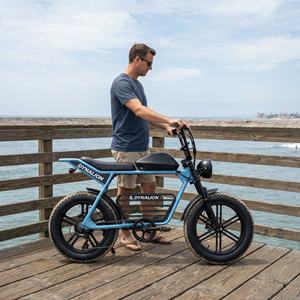 All Terrain Cruise elektrische fiets met dikke banden en voorvorkvering, robuuste dikkebanden e-bike voor ritjes op de pier en langs de loopplanken - Product Image 6