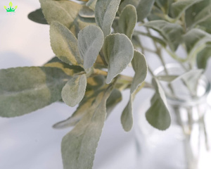 Gambi dell'<span class=keywords><strong>orecchio</strong></span> dell'<span class=keywords><strong>agnello</strong></span> artificiale floccato verde solido Spray foglie dell'<span class=keywords><strong>orecchio</strong></span> del coniglio per la disposizione floreale del mestiere <span class=keywords><strong>di</strong></span> DIY <span class=keywords><strong>di</strong></span> nozze <span class=keywords><strong>di</strong></span> casa - Product Image 2