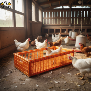 Open Top H-Type <b>Plastic</b> Chicken Transport Coops Home Farm Use New Poultry Cages 12-16 Chicken Capacity -20C All Seasons - Product Image 3