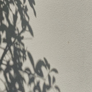 Mildew-Proof <strong>Anti-Algae</strong> Exterior Wall Paint Alkali-Resistant W60 Engineering Acrylic <strong>Coating</strong> for Outdoor Use Application Brush - Product Image 4