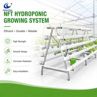 Système d'agriculture verticale hydroponique NFT à étages pour serre, économiseur d'eau, prix usine ChenChao